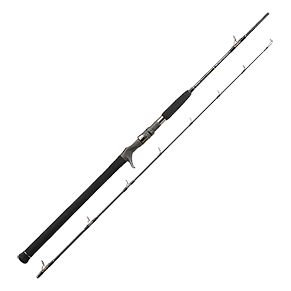 Rods_img
