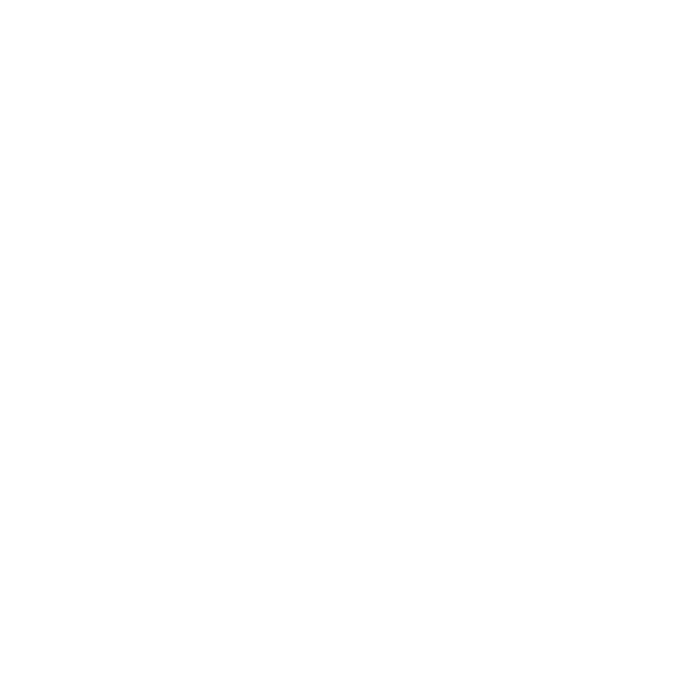 nt-swivel