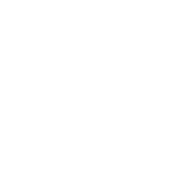 simms